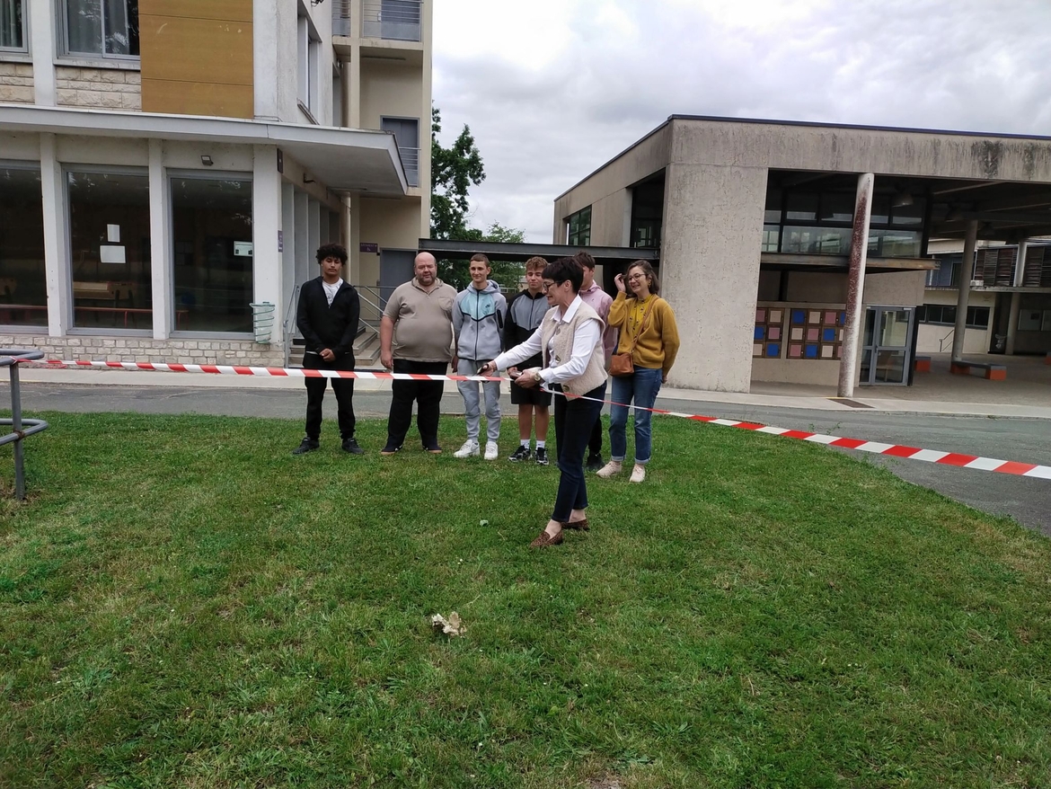 petanque1