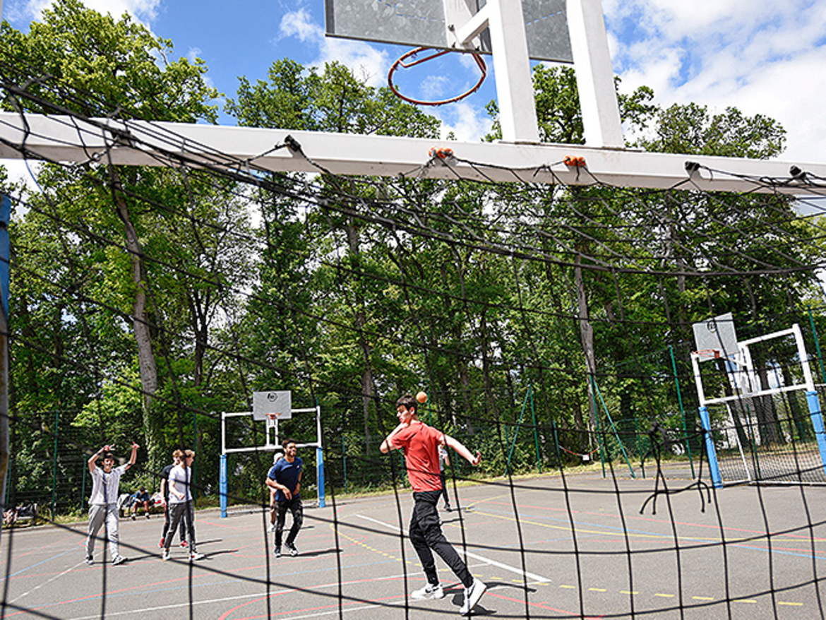 Terrain basket et Hand