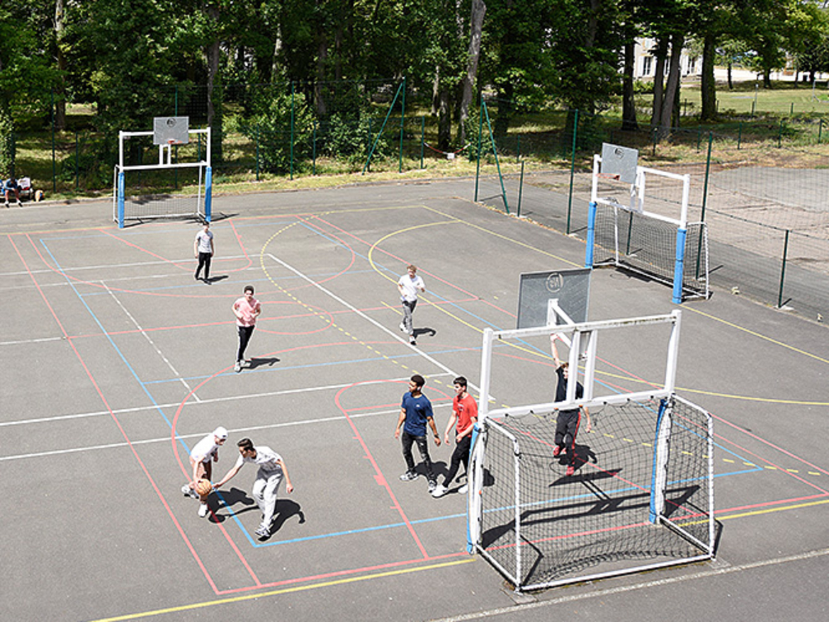 Terrain basket et Hand