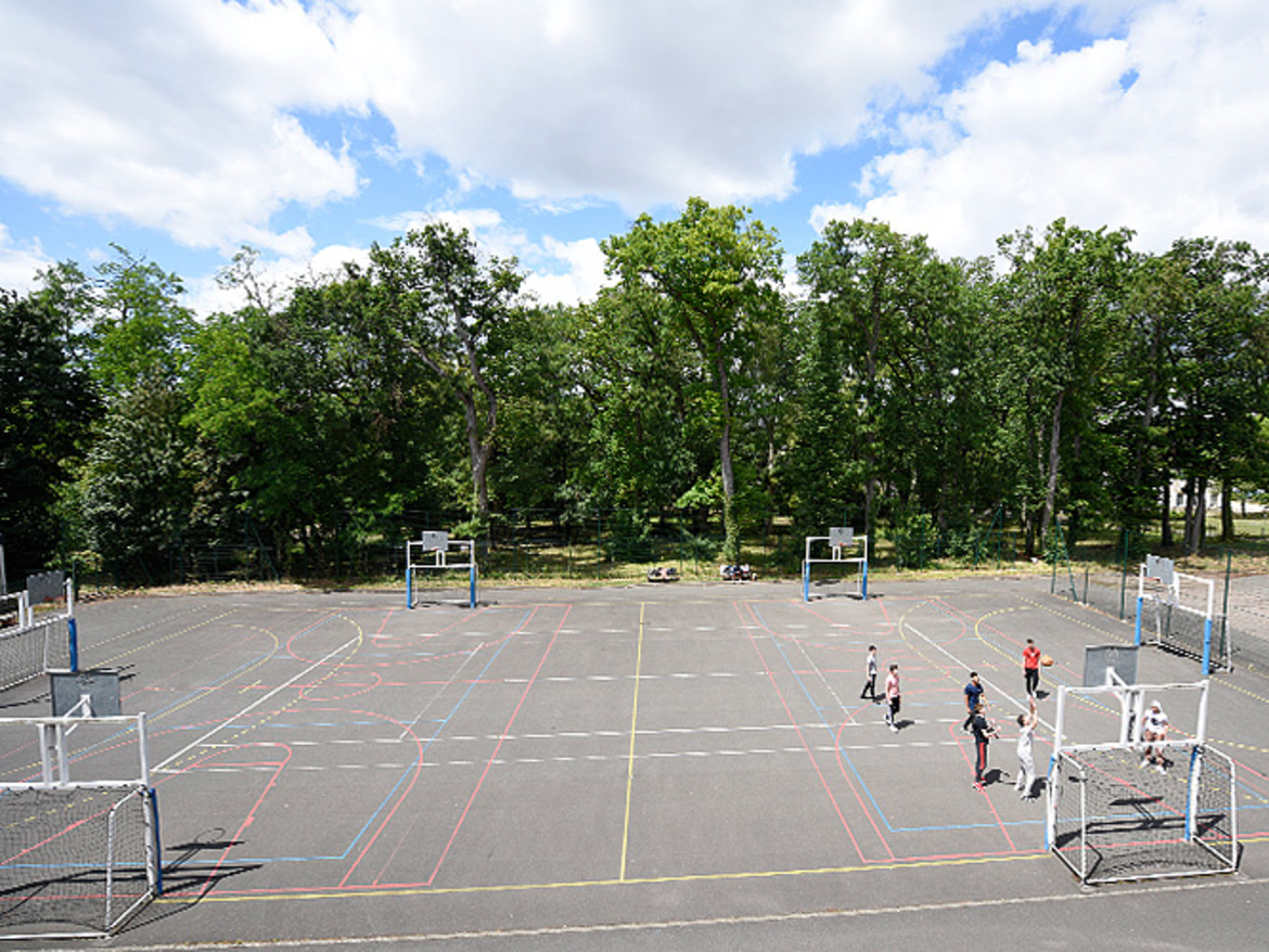 Terrain basket et Hand