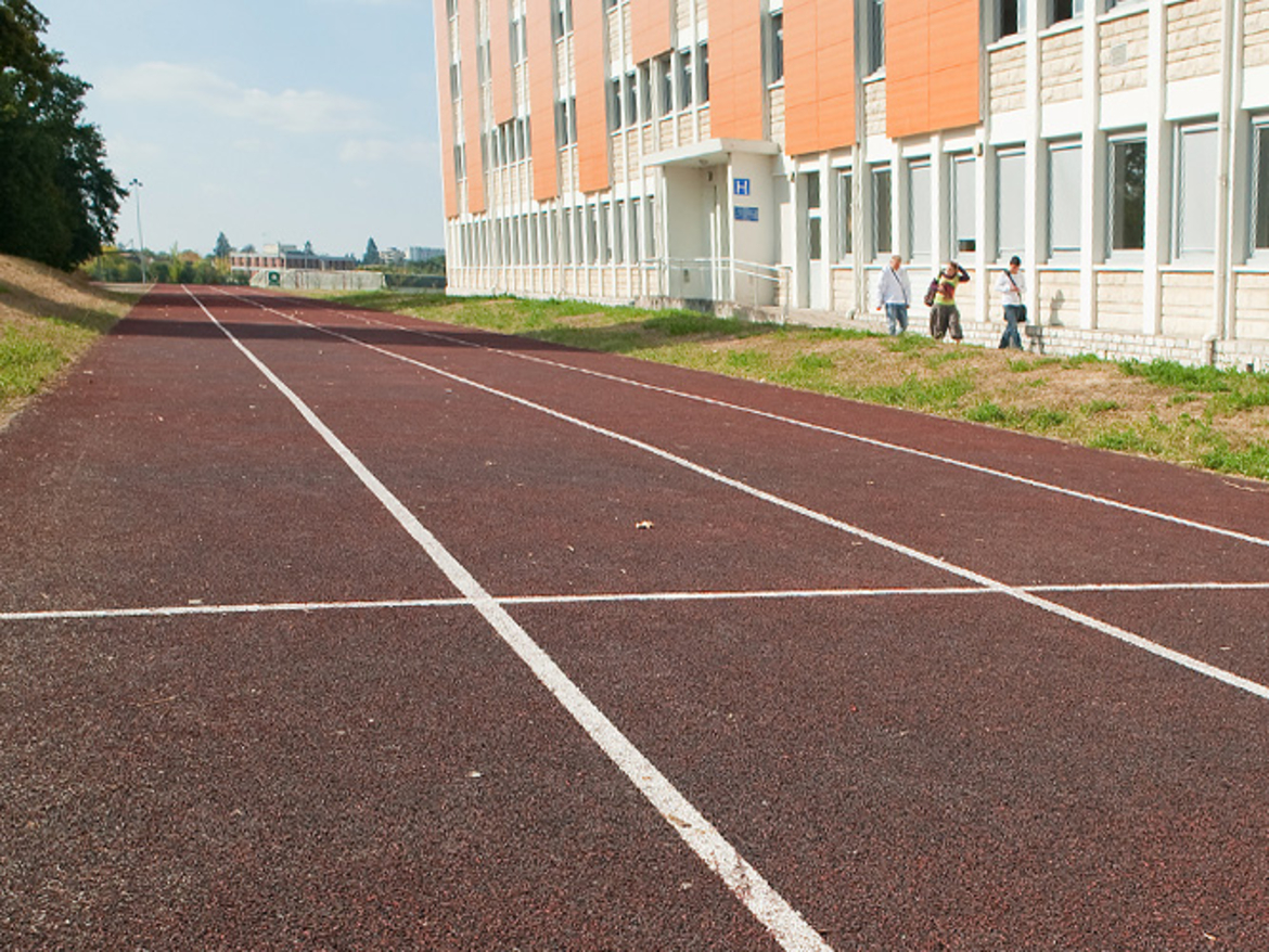 Terrain basket et Hand