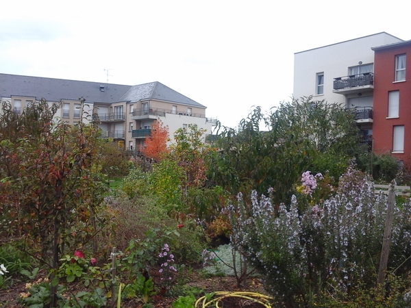 hameau4